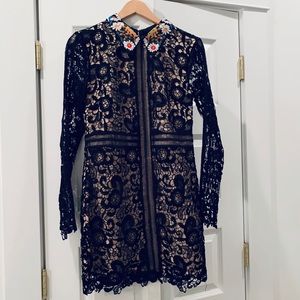 Endless Rose Lace Dress with Embroidered Collar